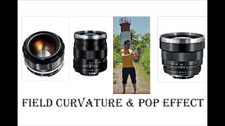 [PART 2] Field Curvature & “Pop” Voigtlander 58, Distagon 28 f2, Planar 85, Otus 55 & HARD TRUTHS