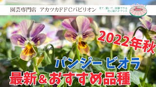 2022年秋･最新＆おすすめ品種！パンジービオラ【園芸専門店アカツカFFCパビリオン】