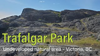 Trafalgar Park - super natural landscape