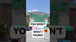 Come See The New Dollar Tree Items I Found #dollartree #dollartreefinds #dollartreehaul