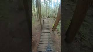 Mountain Bike Rollercoaster