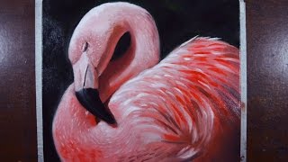 How to paint a Flamingo -- Oil on canvas - Step by step tutorial.