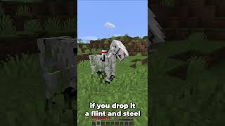 The Minecraft Skeleton Horse #shorts