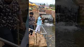 fish feeding #fishfeeder #fishfeeding #fish #fishtank #koi #koifish #koifishpond #sindhudurg #kokan