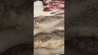 Different types of fish 🐠🐟🐬🦈 #youtubeshorts #shorts #shortsviral  🐠🦈 Ձկների տարբեր տեսականի