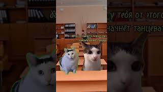 Звук не мой; автор звука-натурал Альбертович #memes #cat #юмор #ржака #subscribe