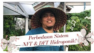 KEKURANGAN DAN KELEBIHAN SISTEM NFT & DFT HIDROPONIK. Kita bongkar disini!