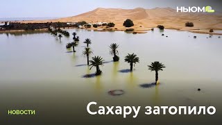 Пустыню Сахара затопило из-за проливных дождей