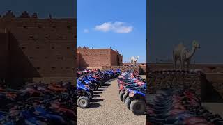 Quad buggy Camel Marrakech Morocco best expérience #desert #quadmarrakech #quad #atv #agafay