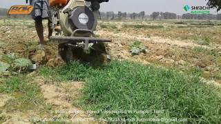 Mini Tiller Weed Suppression in Pumpkin Field . কুমড়া মাঠে আগাছা দমন করা।