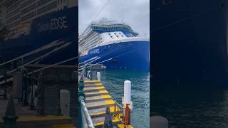 Dance 🕺 with cruise ships at circular quay!! #shorts  #royalcaribbean