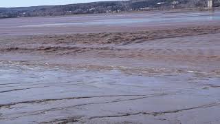 Tidal bore @ Belliveau Village Wharf. March 30, 2021