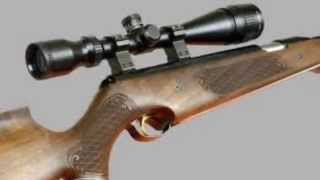 Top 10 air rifles 2012