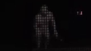 Demon creature at my backyard, late night video