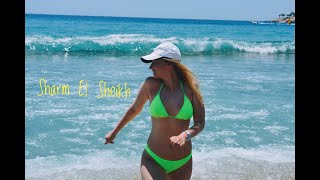 Sharm El Sheikh 2019 - Воспоминания