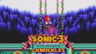 Sonic 3 & Knuckles - Hidden Palace Knuckles 0:08 Speedrun (World Record)