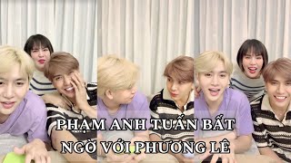 PHAM ANH TUẤN BẤT NGỜ VỚI TÓC MỚI CỦA PHƯƠNG LÊ | VŨ LUÂN GIẢI TRÍ