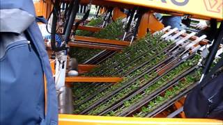 Regero R2010TP Pneumatic transplanter