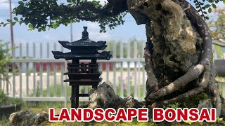 Seperti pemandangan Asli || landscape bonsai