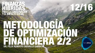 Metodología para la optimización financiera 2/2 para Finanzas Híbridas