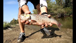 🎣Toamna #spinning la #clean, #salau pe #mures, #catchandrelease  2023 4K 🎣🇷🇴