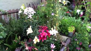 3 minute garden tour