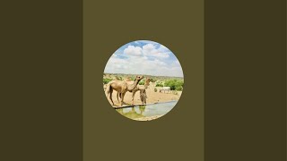 Wild Animals Pakistan is live