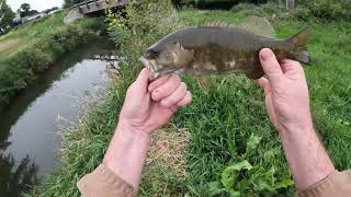 Central Ohio Small Creek Smallmouth Bass Fishing Autumn 2022