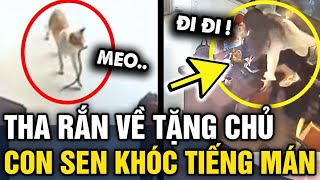 Đang ngồi làm việc, con sen 'NHẢY DỰNG' khi được con boss tặng MÓN QUÀ ĐẶC BIỆT | Tin 3 Phút