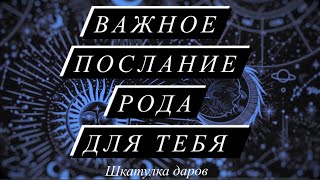 ВАЖНОЕ ПОСЛАНИЕ РОДА ТВОЕГО🔑#таро#шкатулкараскладов#даров#терапия#расклад