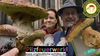 Monster Steinpilze im Schwarzwald! Steinpilz Suche der Extraklasse! Pilze suchen September 2024