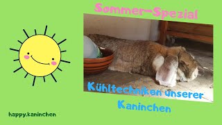 Sommer im Kaninchengarten