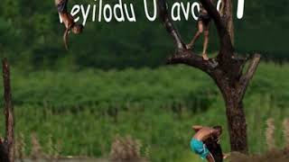 Veyilodu vilaiyadi Veyilodu uravaadi whatsappstatus song/jrwhatsappstatus