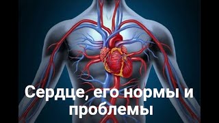 СЕРДЦЕ ЕГО НОРМА И ПРОБЛЕМЫ