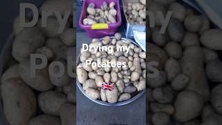 Drying my potatoes in uk.