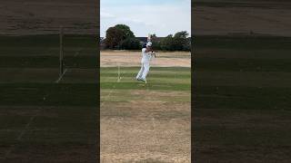 Batters Love to see this! #cricket #coverdrive