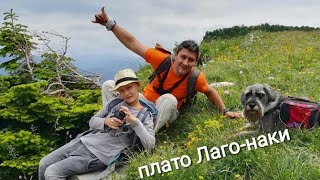 Плато Лагонаки.пещера овечья