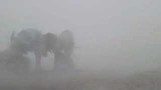 Hurricane Ian Eyewall - North Port, FL - Extreme Winds, Major Flooding - 09-28-2022