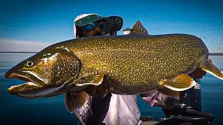 I caught my BIGGEST LAKE TROUT!!! Amongst a dozen others...