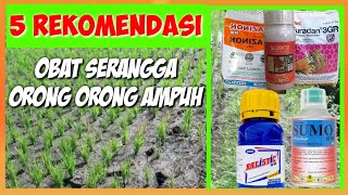 OBAT INSEKTISIDA AMPUH UNTUK ORONG ORONG DAN SERANGGA||POWERFUL INSECTICIDE FOR SOIL INSECT PEST