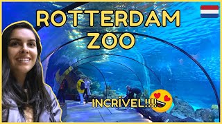 Conhecendo o Zoológico de Rotterdam e a calçada das bandeiras 🦒🦁| Talita Ramos