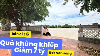 Tập 247❤️ Bán lỗ nặng cho nhà vườn ven sông siêu đẹp mong thu hồi được chút vốn