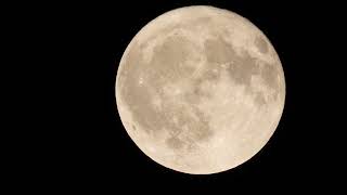 Full flower Moon of May 23, 2024, Thursday.Part 3.