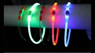 Discover Brilliance: Led Usb Dog Collar Debut!