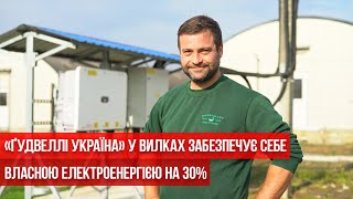 «Ґудвеллі Україна» у Вилках забезпечує себе власною електроенергією на 30%