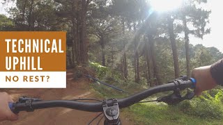 JAPANESE TRAIL UPHILL CHALLENGE