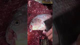 tylafiya fish cutting | Amazing fish cutting | BD fish cutting #fish