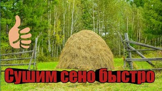 как сушить сено быстро и качественно, сушка сена вручную, заготовка сена