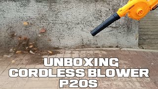 Unboxing Ingco Portable Blower/Vacuum