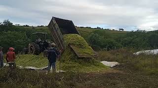 muita ração em pouca área de terra rendende bastante